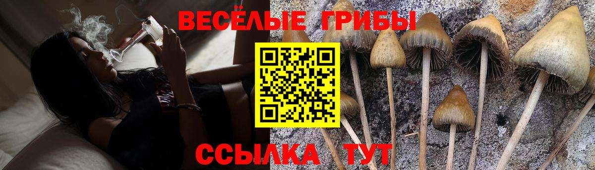 Феодосия  Псилоцибиновые грибы Psilocybe  Вход с VPN 